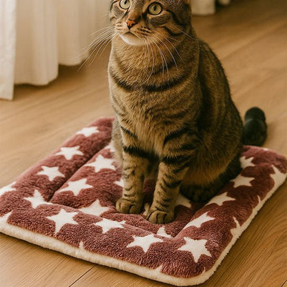 Tapis chat moelleux brun étoilé chat surveille