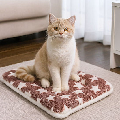 Tapis chat moelleux brun moelleux étoilé chat détendu